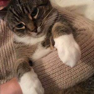 Meet your Posher, Katie